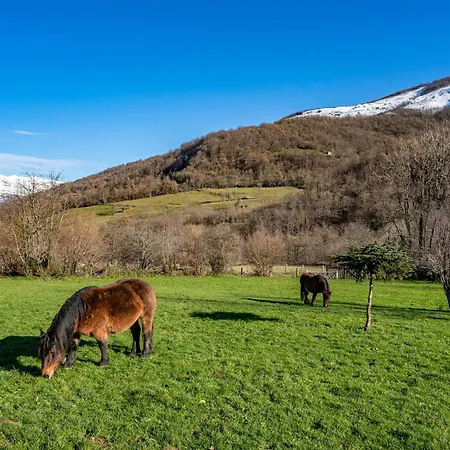 Hétvégi ház Valle De Bueida Viscarcel *